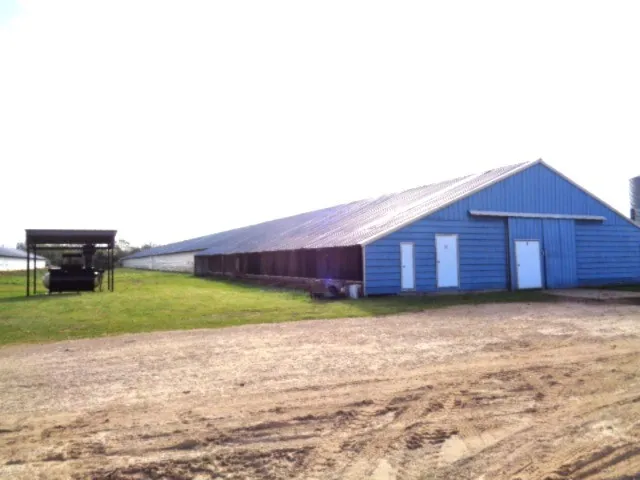 Zebra Winnsboro, TX 75494