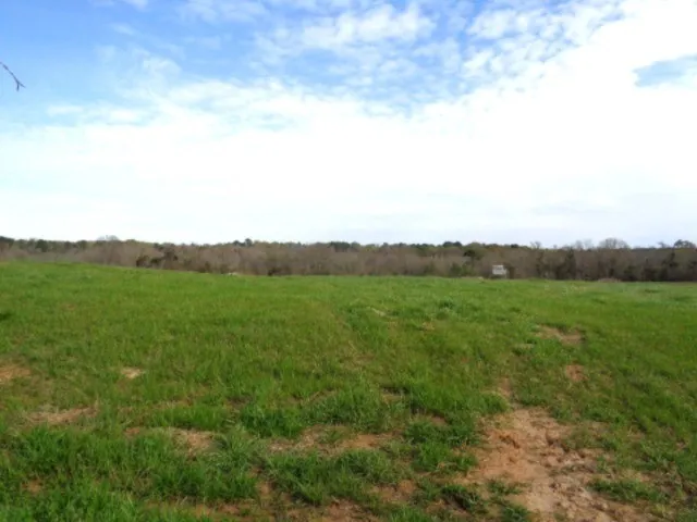 Zebra Winnsboro, TX 75494