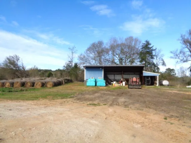 Zebra Winnsboro, TX 75494