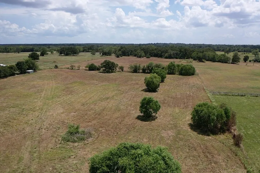 14 Halliday Lane Madisonville, TX 77864