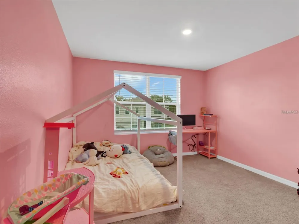 16636 WINDMILL FORGE PASS Wimauma, FL 33598