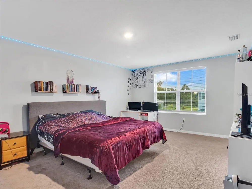 16636 WINDMILL FORGE PASS Wimauma, FL 33598