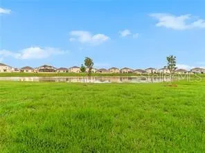 16636 WINDMILL FORGE PASS Wimauma, FL 33598