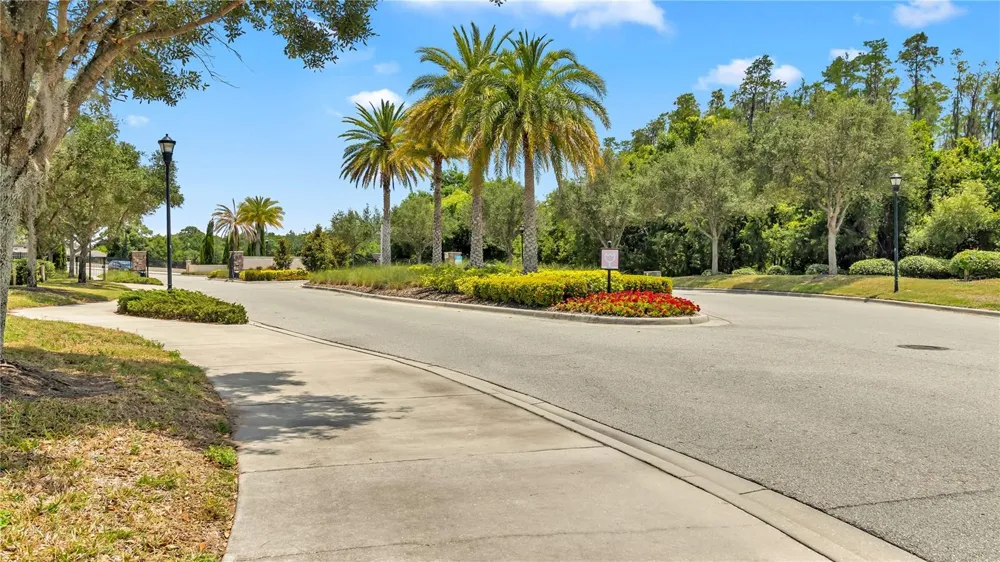 16636 WINDMILL FORGE PASS Wimauma, FL 33598