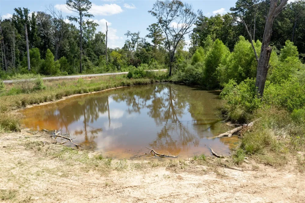 1906 County Road 3434 Cleveland, TX 77327
