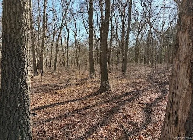 Woodlot Road Ridge, NY 11961