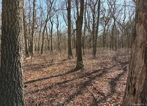 Woodlot Road