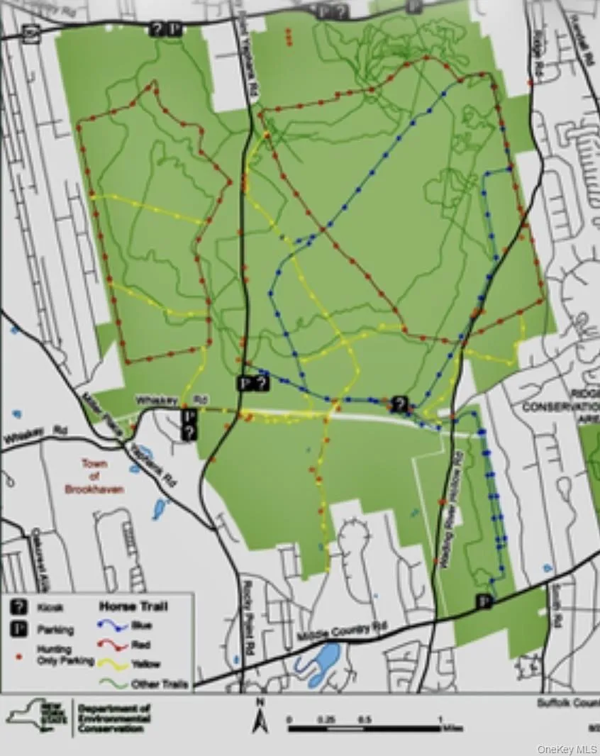 Woodlot Road Ridge, NY 11961