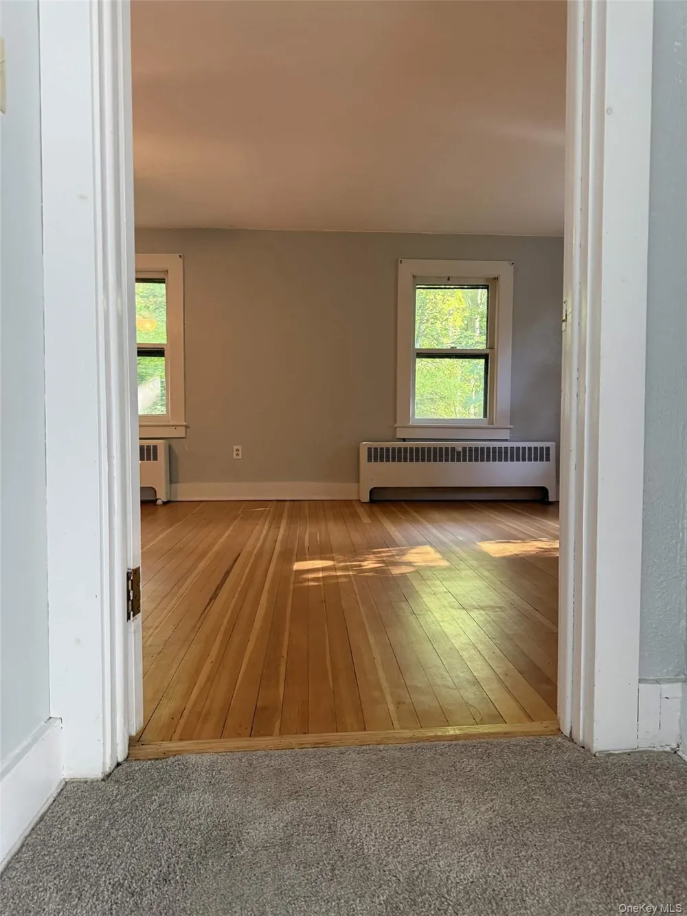 50 Route 343 #B Millbrook, NY 12545