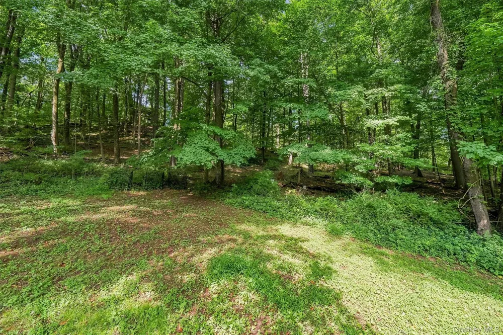 383 Rt 32 Woodbury, NY 10917
