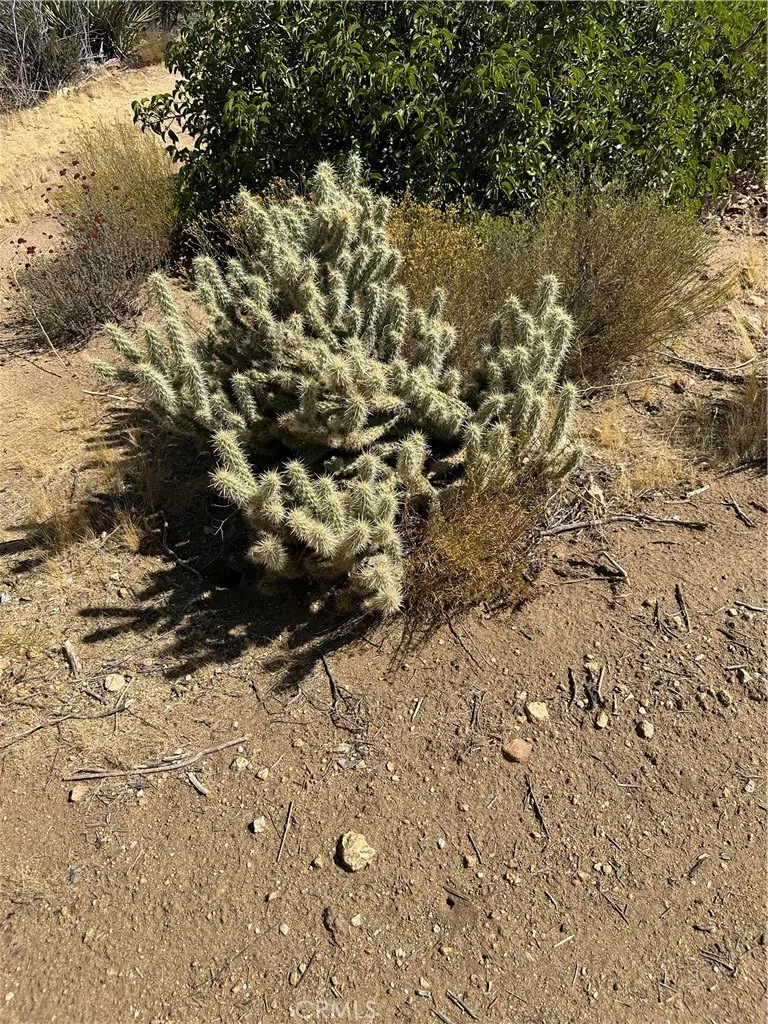 44305 Broken Wheel Mountain Center, CA 92561