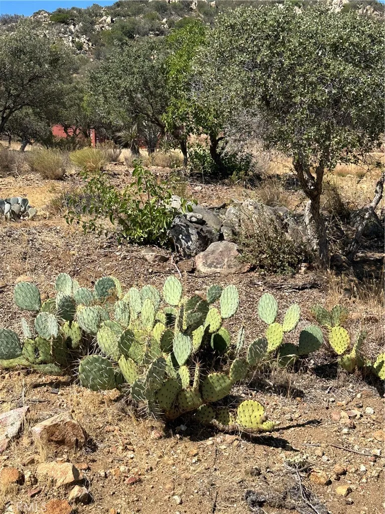 44305 Broken Wheel Mountain Center, CA 92561
