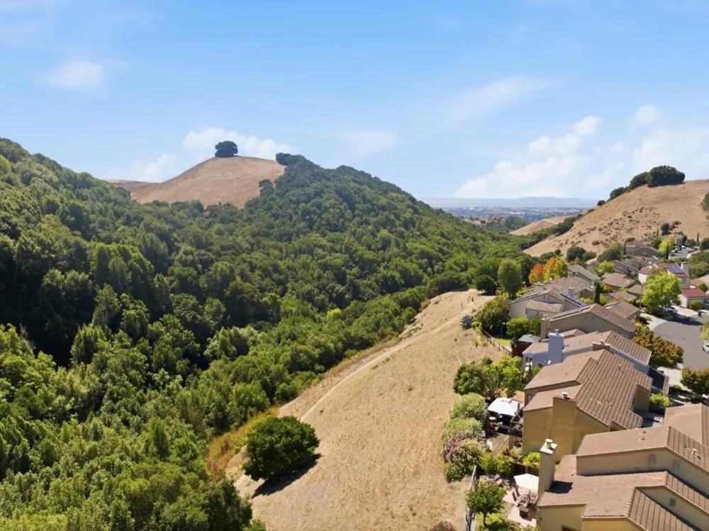28169 Riggs Court Hayward, CA 94542