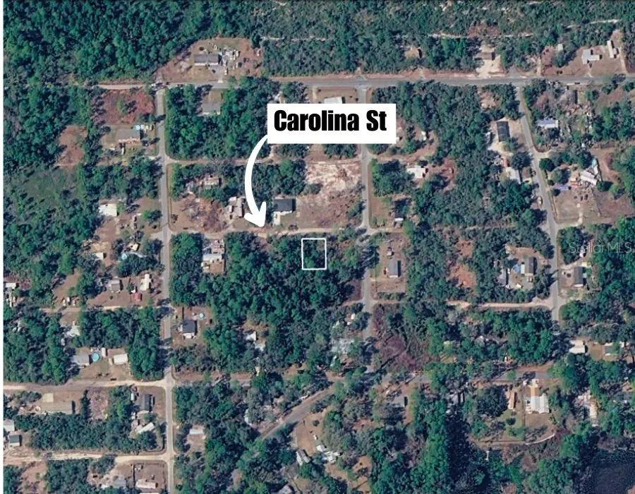 CAROLINA STREET Paisley, FL 32767