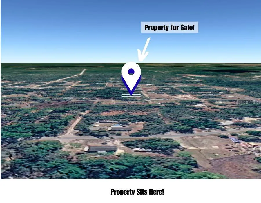 CAROLINA STREET Paisley, FL 32767