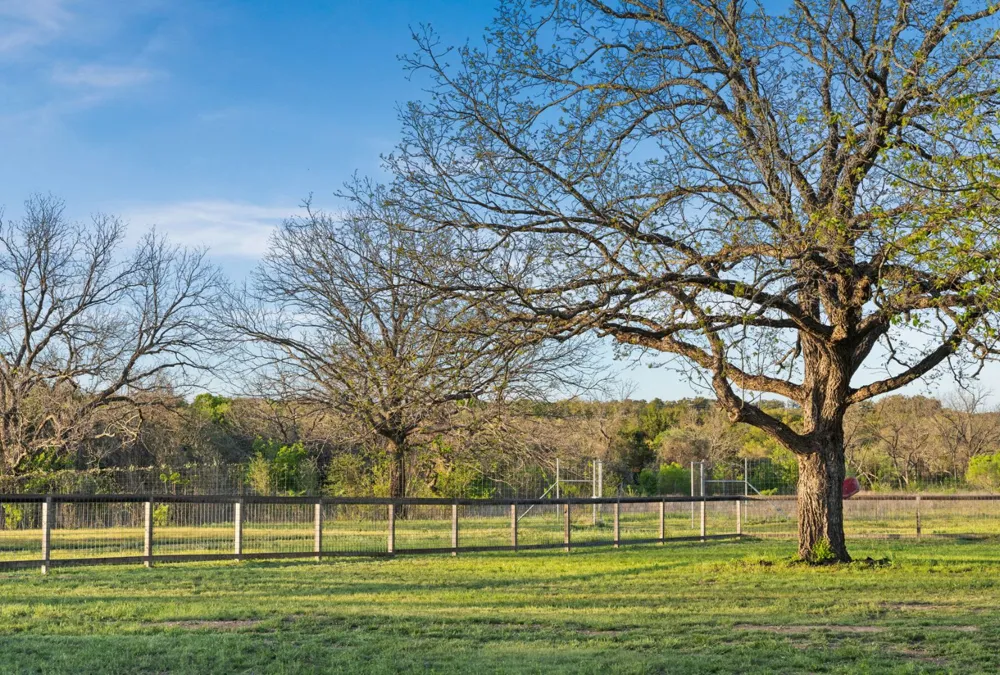 18405 Angel Valley Drive Leander, TX 78641