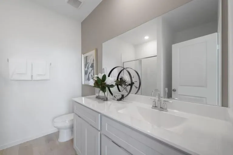 30534 Bladnoch Lane Waller, TX 77484