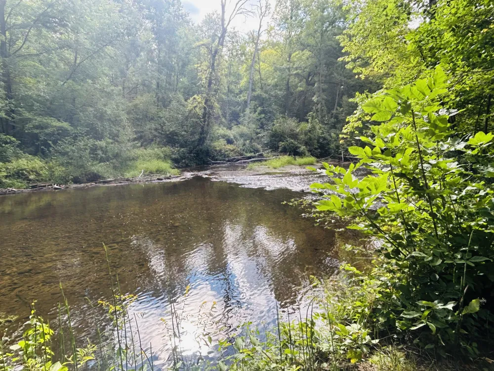 14150 Birch Lane Marion, MI 49665