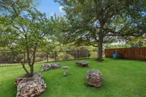 233 San Matteo Street Georgetown, TX 78628