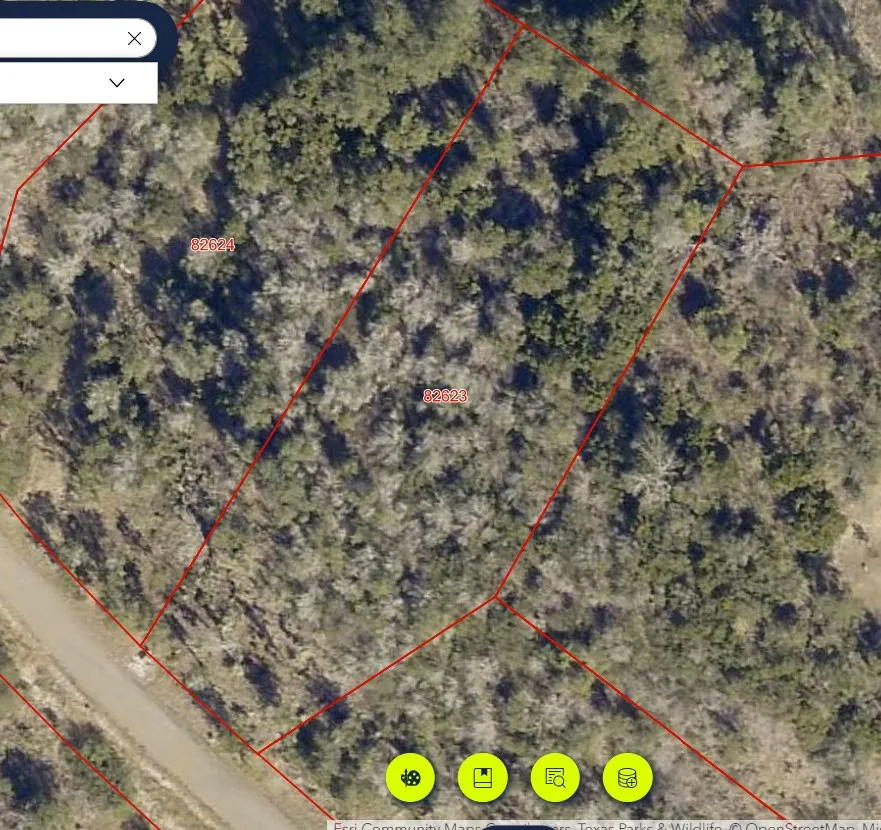 64 War Bonnet Ridge Kingsland, TX 78639