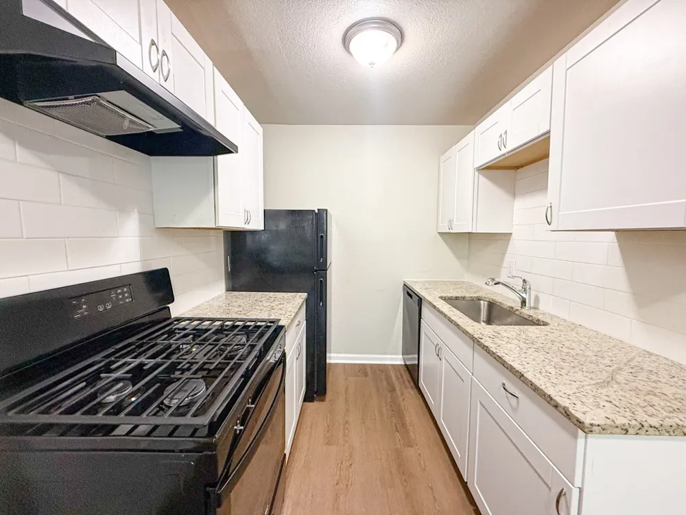 808 Blaylock Drive #201 Dallas, TX 75203