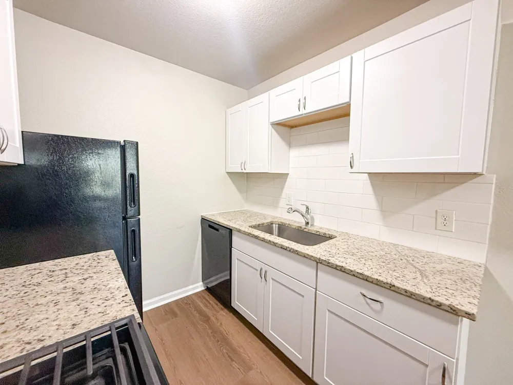 808 Blaylock Drive #201 Dallas, TX 75203