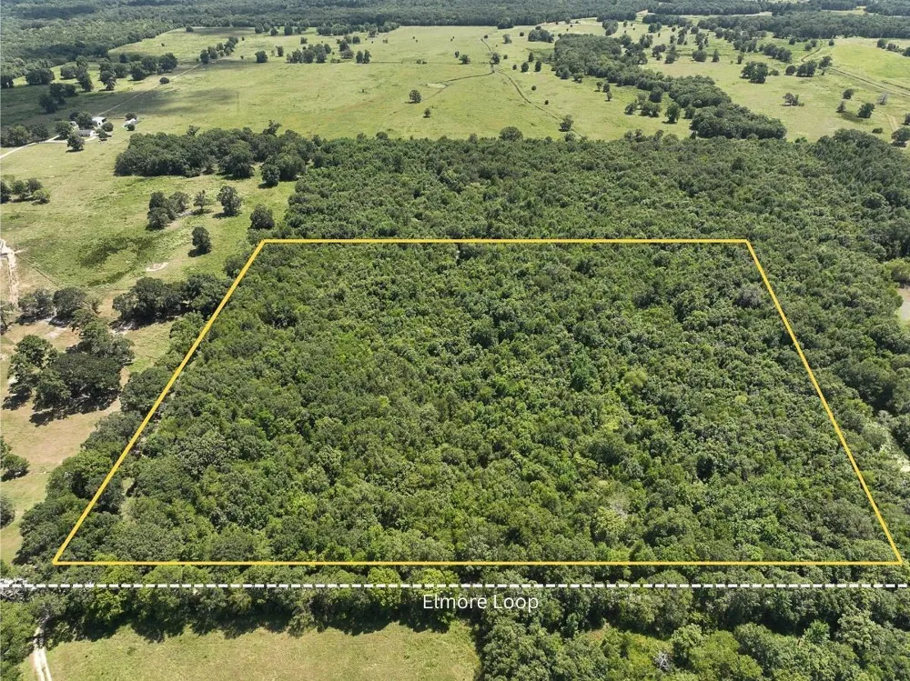 Elmore Loop Shepherd, TX 77371