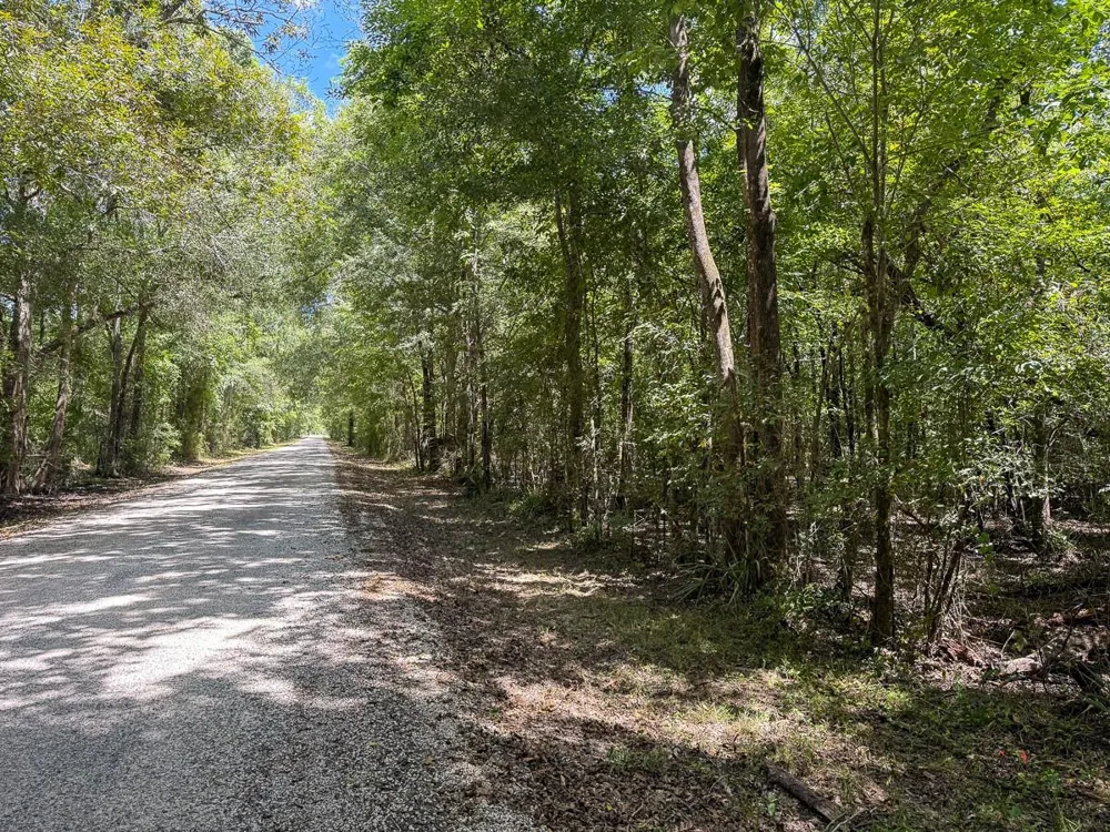 Elmore Loop Shepherd, TX 77371