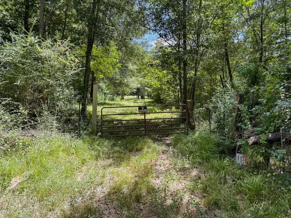 Elmore Loop Shepherd, TX 77371