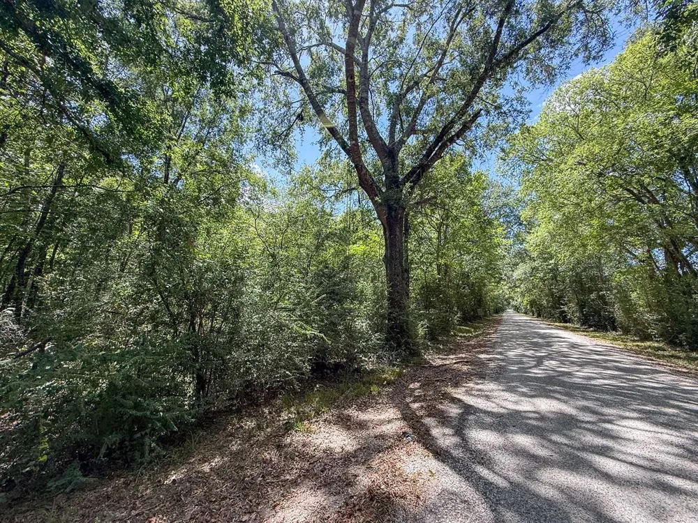 Elmore Loop Shepherd, TX 77371