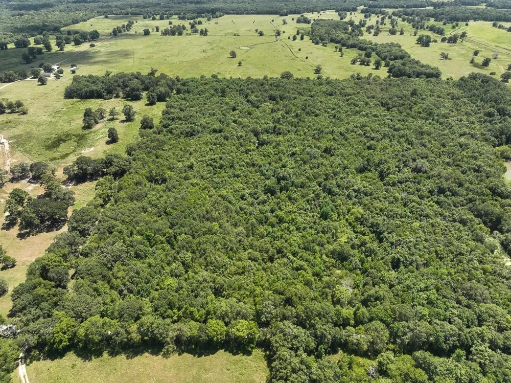Elmore Loop Shepherd, TX 77371