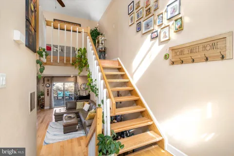 31 CHICOPEE DRIVE