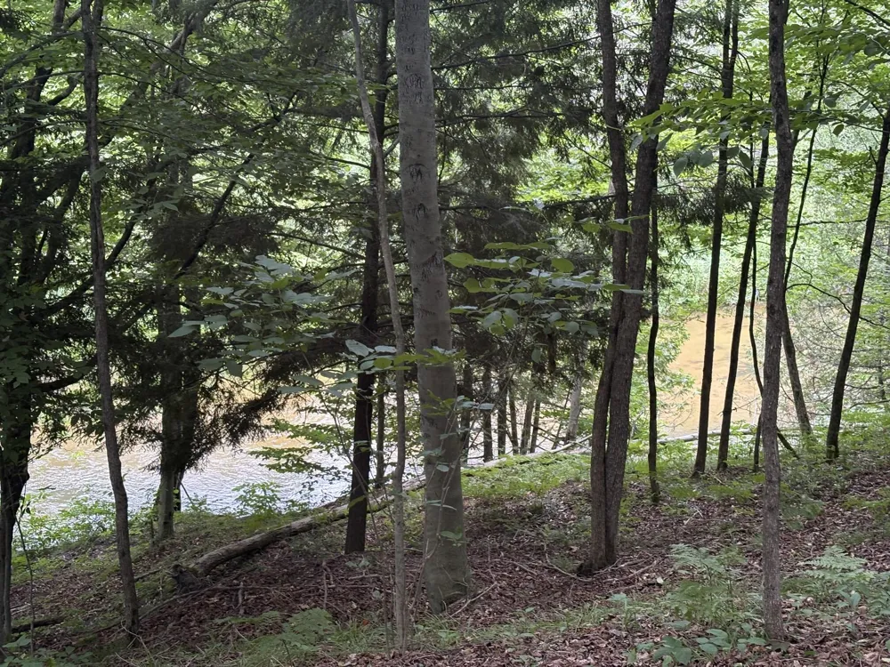 18821 Moore Road Thompsonville, MI 49683