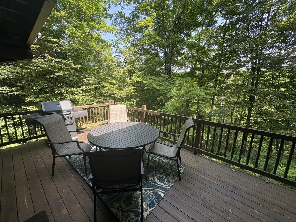 18821 Moore Road Thompsonville, MI 49683