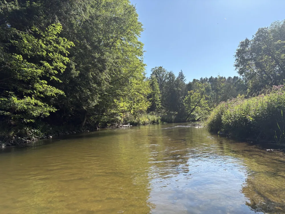 18821 Moore Road Thompsonville, MI 49683