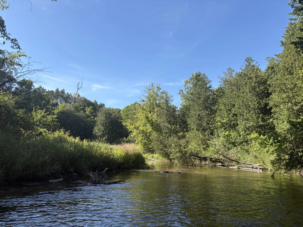 18821 Moore Road Thompsonville, MI 49683