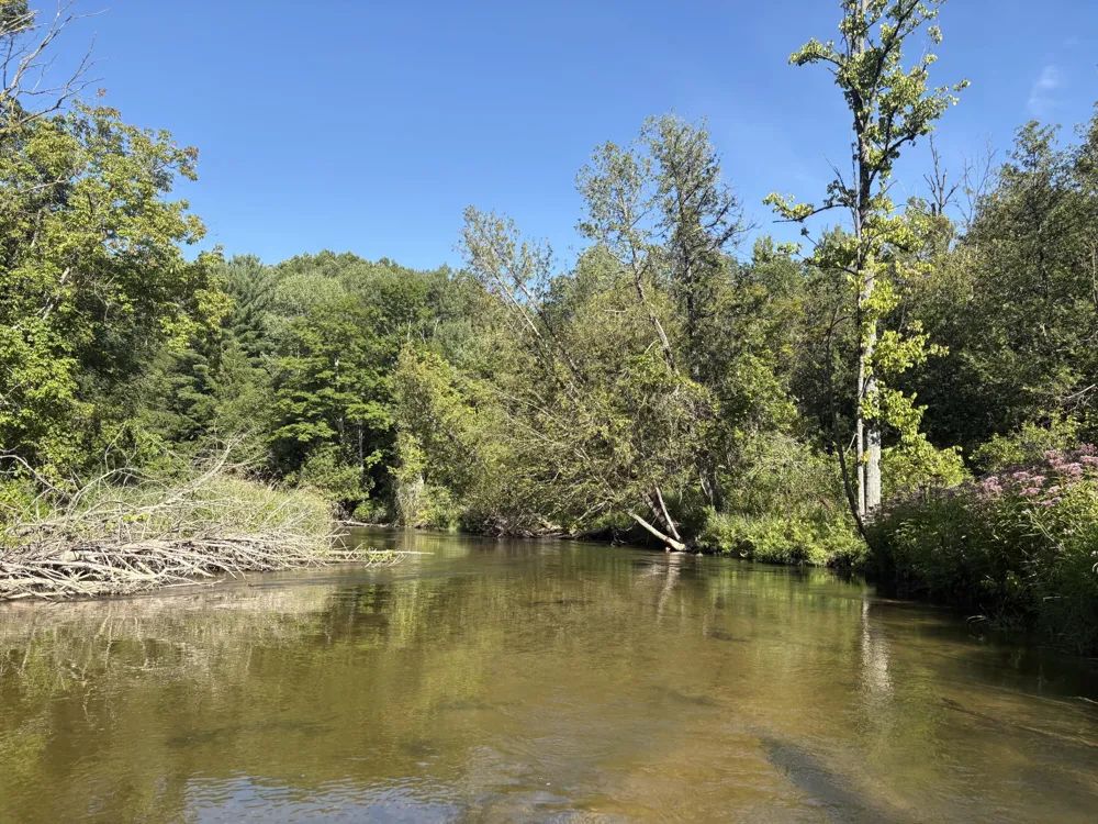 18821 Moore Road Thompsonville, MI 49683