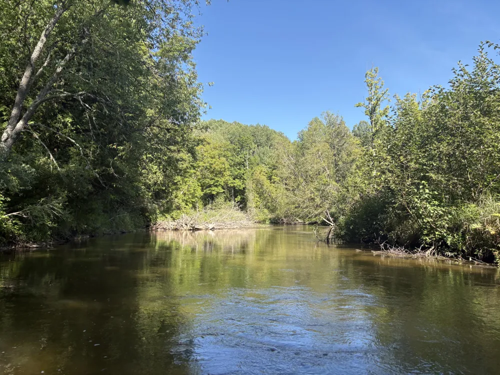 18821 Moore Road Thompsonville, MI 49683