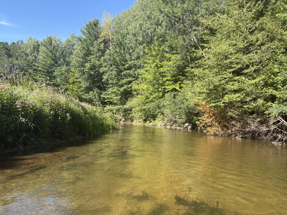 18821 Moore Road Thompsonville, MI 49683