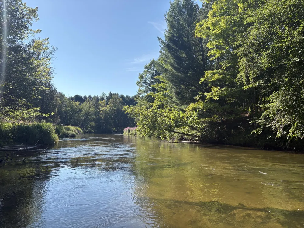 18821 Moore Road Thompsonville, MI 49683