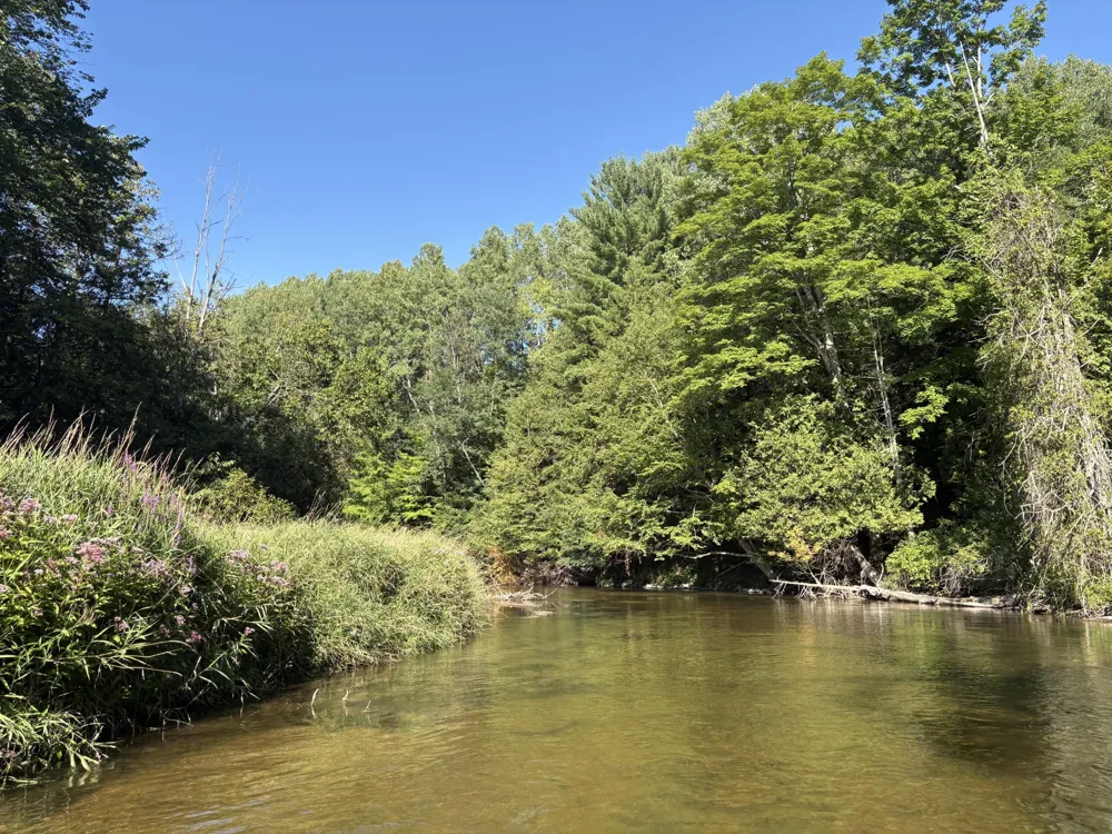 18821 Moore Road Thompsonville, MI 49683
