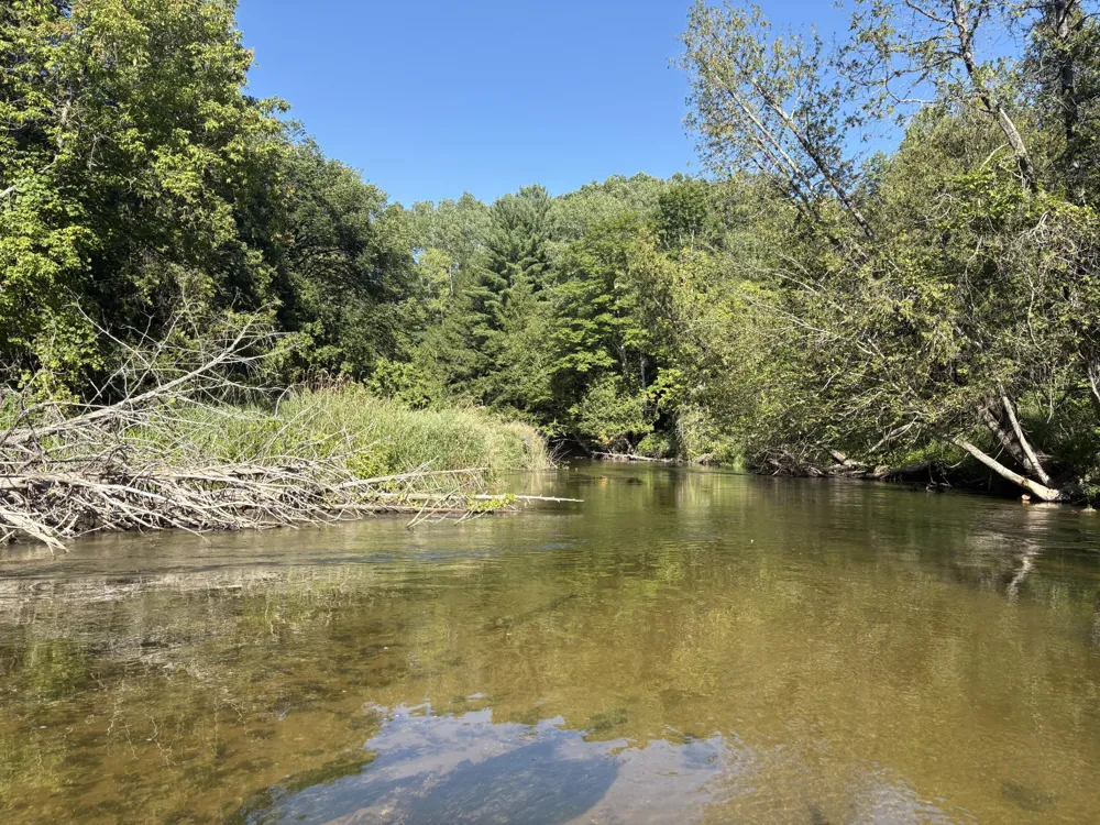 18821 Moore Road Thompsonville, MI 49683