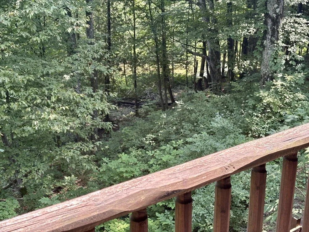 18821 Moore Road Thompsonville, MI 49683
