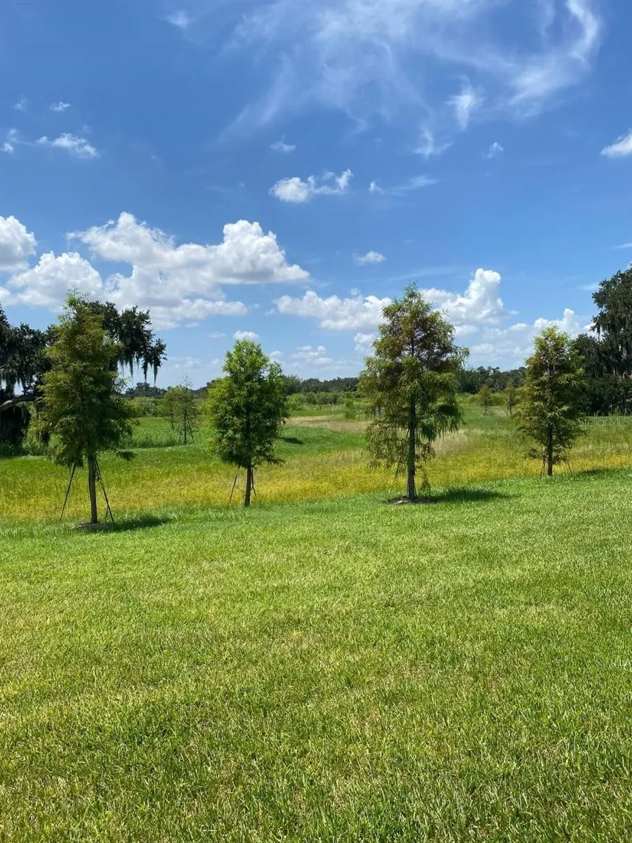 4005 WESTWOOD FIELDS LOOP Plant City, FL 33565