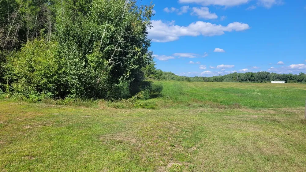 42512 Bulldozed Road Pine River, MN 56474