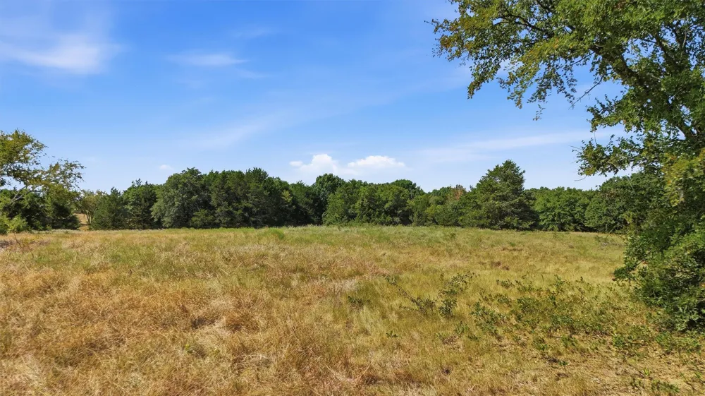 97 Bill Holder Whitesboro, TX 76264