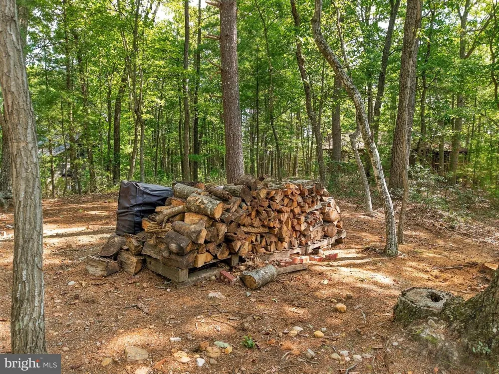 122 FORREST STREET Basye, VA 22810