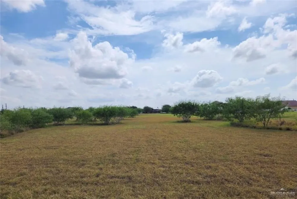 0 Meadow Knoll Street Edcouch, TX 78538