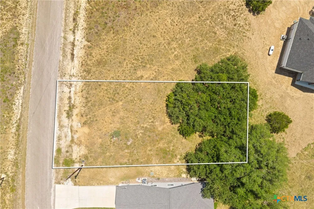 223 Peter Kleid Loop Blanco, TX 78606
