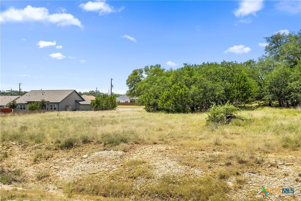 223 Peter Kleid Loop Blanco, TX 78606